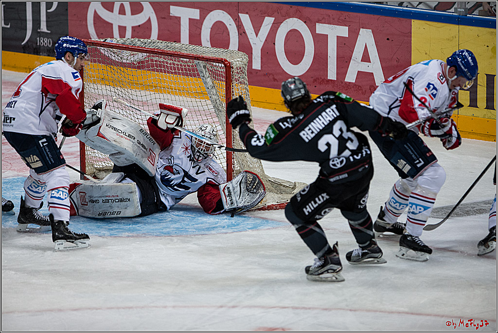 DEL, Koelner Haie - Adler Mannheim, 05.02.2017
